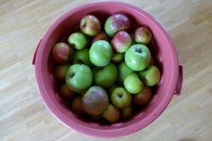 Man sieht die Oscartonne voller Äpfel von oben