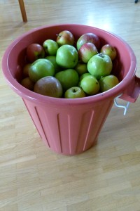 Oscartonne  von der Seite aufgenommen